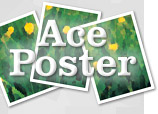 Ace Poster